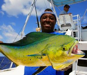 fishing charters nassau bahamas